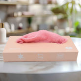 Microfiber Cleaning Cloth Set – 10 Pcs Multi-Use & Absorbent | Velvet Wipe