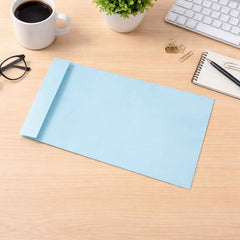 Extra Large Card Envelope – Durable Self-Seal Closure for Legal Documents