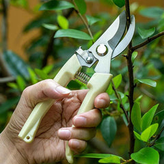 Pruning Shears – Sharp Stainless Steel Blades | XcelCraft