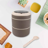 Stainless Steel Lunch Box – 2-Layer Leak-Proof for Office & School | Ganesh