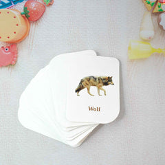 Animal Flash Cards – 32 Durable & Laminated Educational Cards