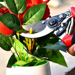 Garden Shears – Sharp Bypass Pruner for Plants | Tidy Roots