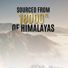 Pure Himalayan Shilajit Resin – Natural Energy & Immunity Booster