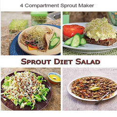 Sprout Maker 4 Compartment – Fresh & Healthy Sprouts | Tidy Table