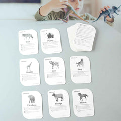 Animal Flash Cards – 32 Durable & Laminated Educational Cards