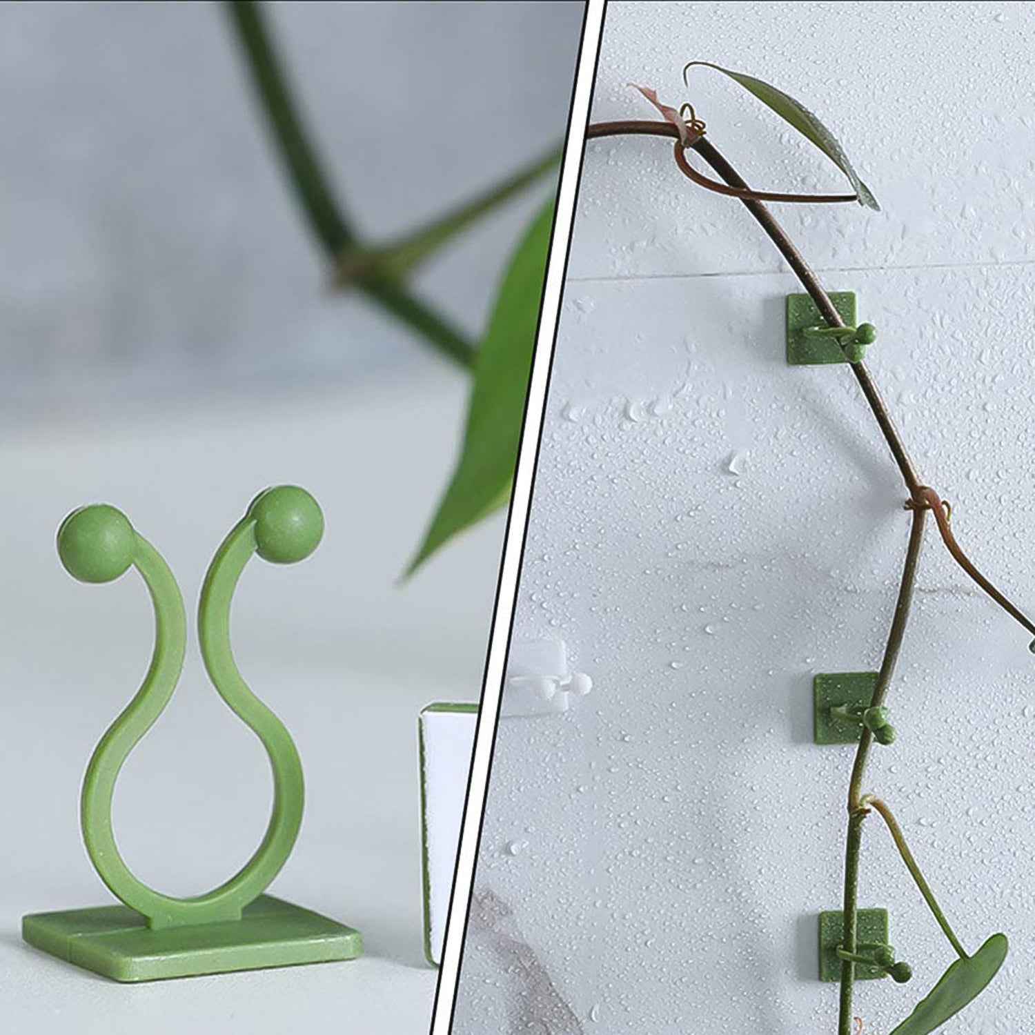 Plant Climbing Clips – Self-Adhesive Wall Support | Grow Vanta