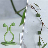 Plant Climbing Clips – Self-Adhesive Wall Support | Grow Vanta