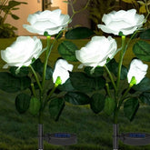 Solar Garden Decorative Flower Lights – Set of 2 LED Roses