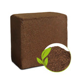 Organic Cocopeat Block – 1 KG Potting Mix for Plants | Styleva