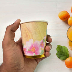Disposable Paper Cups – Mixed Colour 3 Pcs Set | hydrozilla