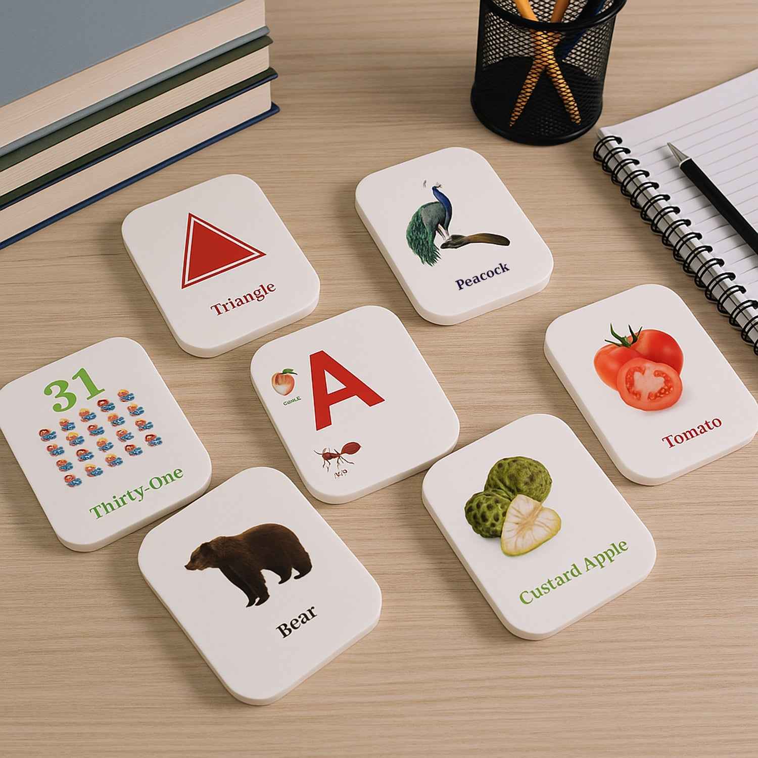 Early Learner Flashcard Set – 224 Durable Educational Cards