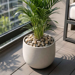Decorative River Pebbles Ð Versatile Natural Stones for Indoor & Outdoor
