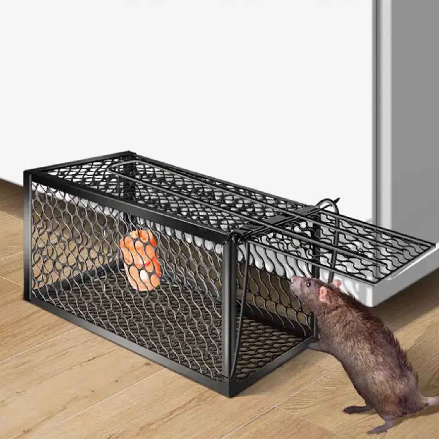Humane Mouse Trap – Foldable Live Catch Cage for Rodents |