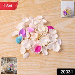 Decorative Seashells Set – Natural Vase Fillers for Home Decor