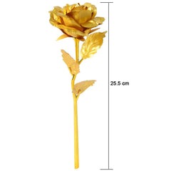 Varied placement examples of golden rose decoration set for interiors