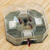 Cockroach Trap Box – Reusable Pest Killer for Home | Grow Vanta