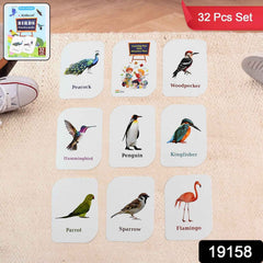 Bird Flashcards – 32 Realistic Educational Cards for Kids