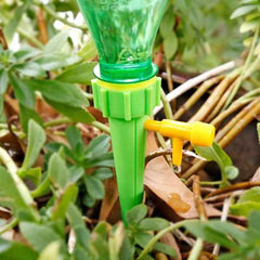 Multiple drip irrigation spikes ensuring consistent watering for a home garden.
