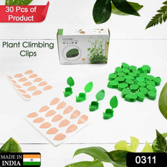 Plant Climbing Clips – Self-Adhesive Leaf Design | Indo Glow