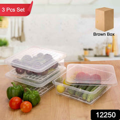 Plastic Food Storage Containers – Set of 3 with Drain Tray | Organivo