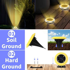 Solar Ground Lights Ð Waterproof LED Pathway Illumination