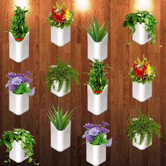 Hanging Planter Pot – Multicolour Vertical Garden | Gambit