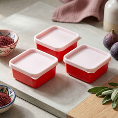 Mini Plastic Food Storage Container Ð Compact & Multipurpose Kitchen Organizer