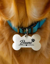 Pet Customized Name and Phone number Tag for Dogs and Cats