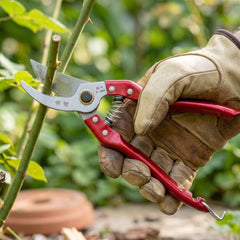 Garden Pruning Shears Ð Precise Bypass Secateurs for Plants