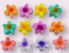 Medium size flower Claw