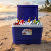 Portable 6L Ice Cooler Box Ð Keeps Drinks Chilled Outdoors