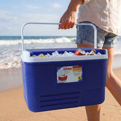 Portable 6L Ice Cooler Box Ð Keeps Drinks Chilled Outdoors
