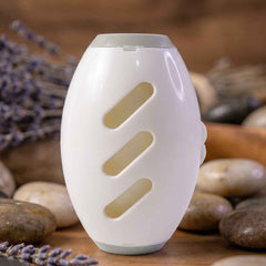 Reusable Lint Roller Ð Eco-Friendly & Portable for Clothes & Furniture