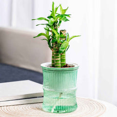 Self-Watering Bamboo Style Plastic Flower Pot Ð Easy Indoor Plant Care