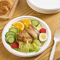Disposable Round Food Serving Plate – 10 Pc Lightweight Set