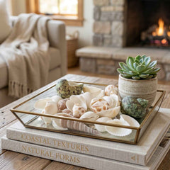 Natural Decorative Seashells Set – Coastal Charm for Home Decor
