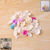 Decorative Seashells Set – Natural Vase Fillers for Home Decor