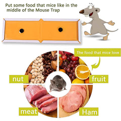 Cardboard Mouse Trap – Small Size Glue Trap for Effective Rodent Control