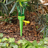 Drip Irrigation Kit – Automatic Self-Watering Spikes | Tidy Roots