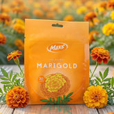 Marigold Gel Air Freshener Ð Long-lasting Refreshing Fragrance