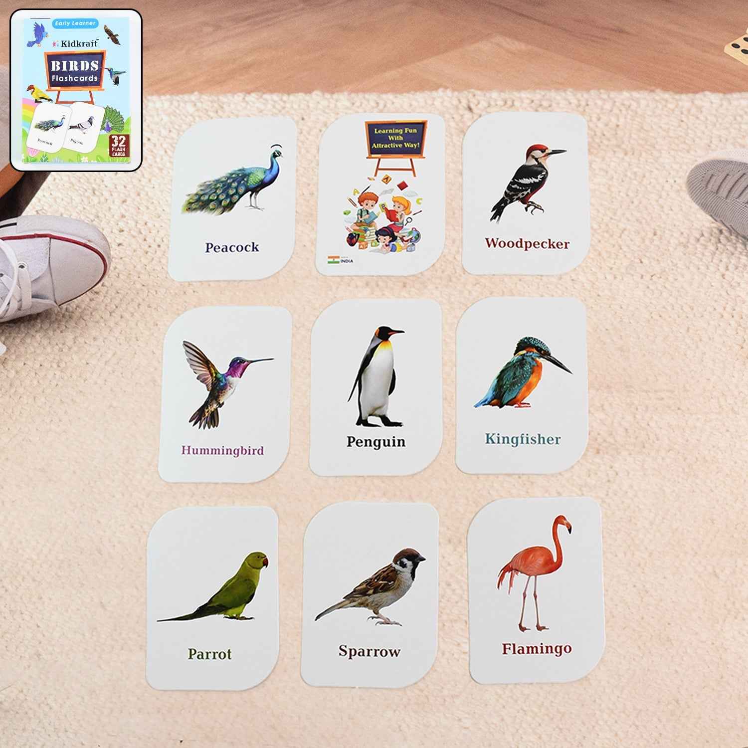 Bird Flashcards – 32 Realistic Educational Cards for Kids