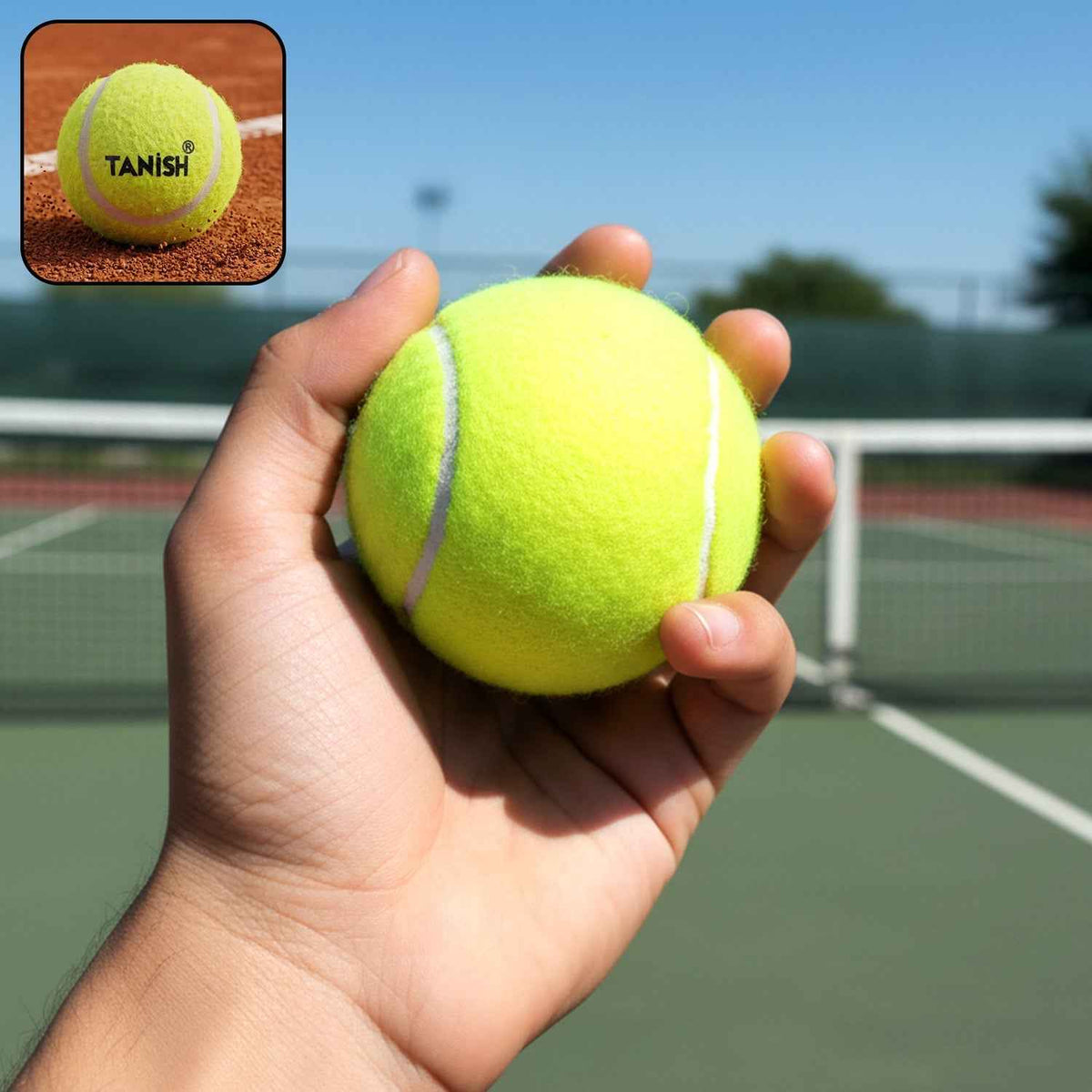 Premium Tennis Ball – Durable and High Bounce for Training