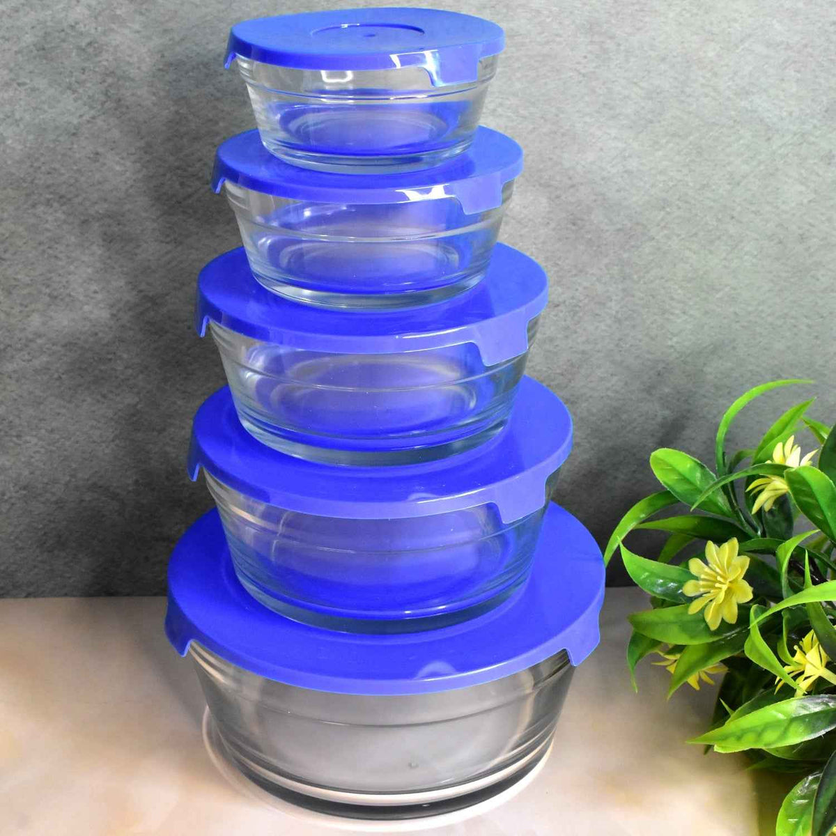 Organivo 5-piece glass bowl set with lids displayed neatly.