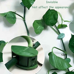 Plant Climbing Wall Clips – Self-Adhesive Invisible Support | Indo Glow