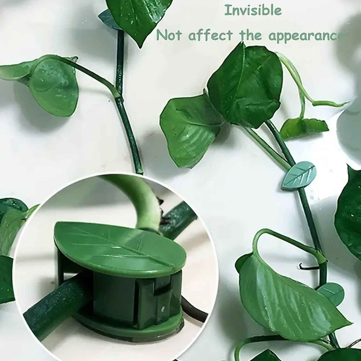 Plant Climbing Clips – Self-Adhesive Leaf Design | Indo Glow