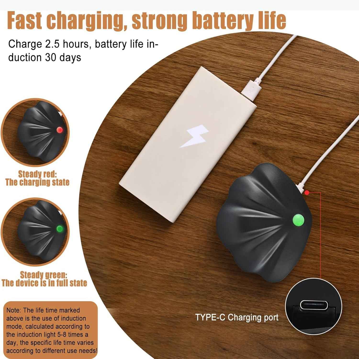 Motion Sensor Night Light – Shell-Shaped Soft Glow LED