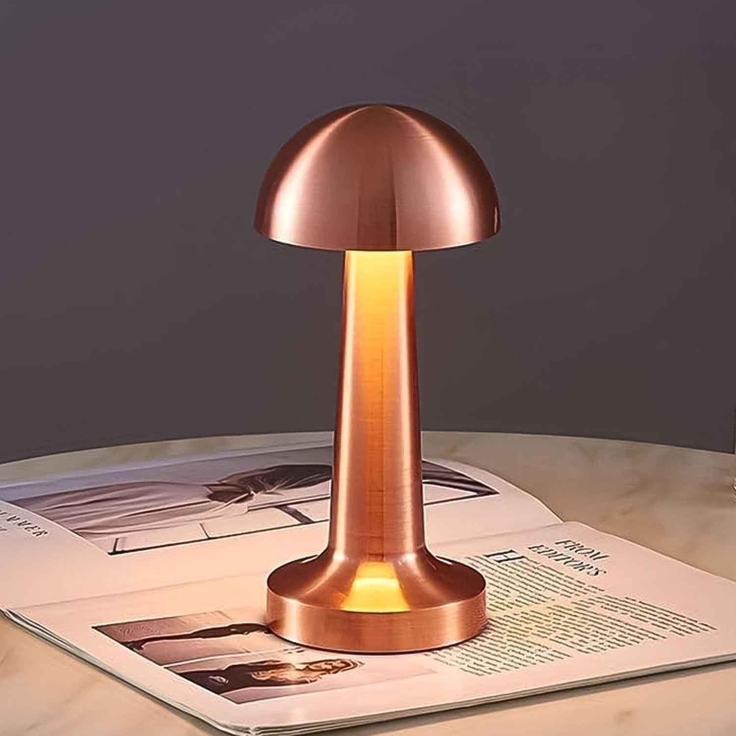 LED Table Lamp – Touch Control, Portable & Dimmable Metal Desk Light