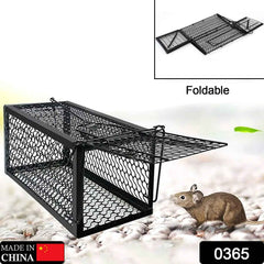 Humane Mouse Trap – Foldable Live Catch Cage for Rodents |