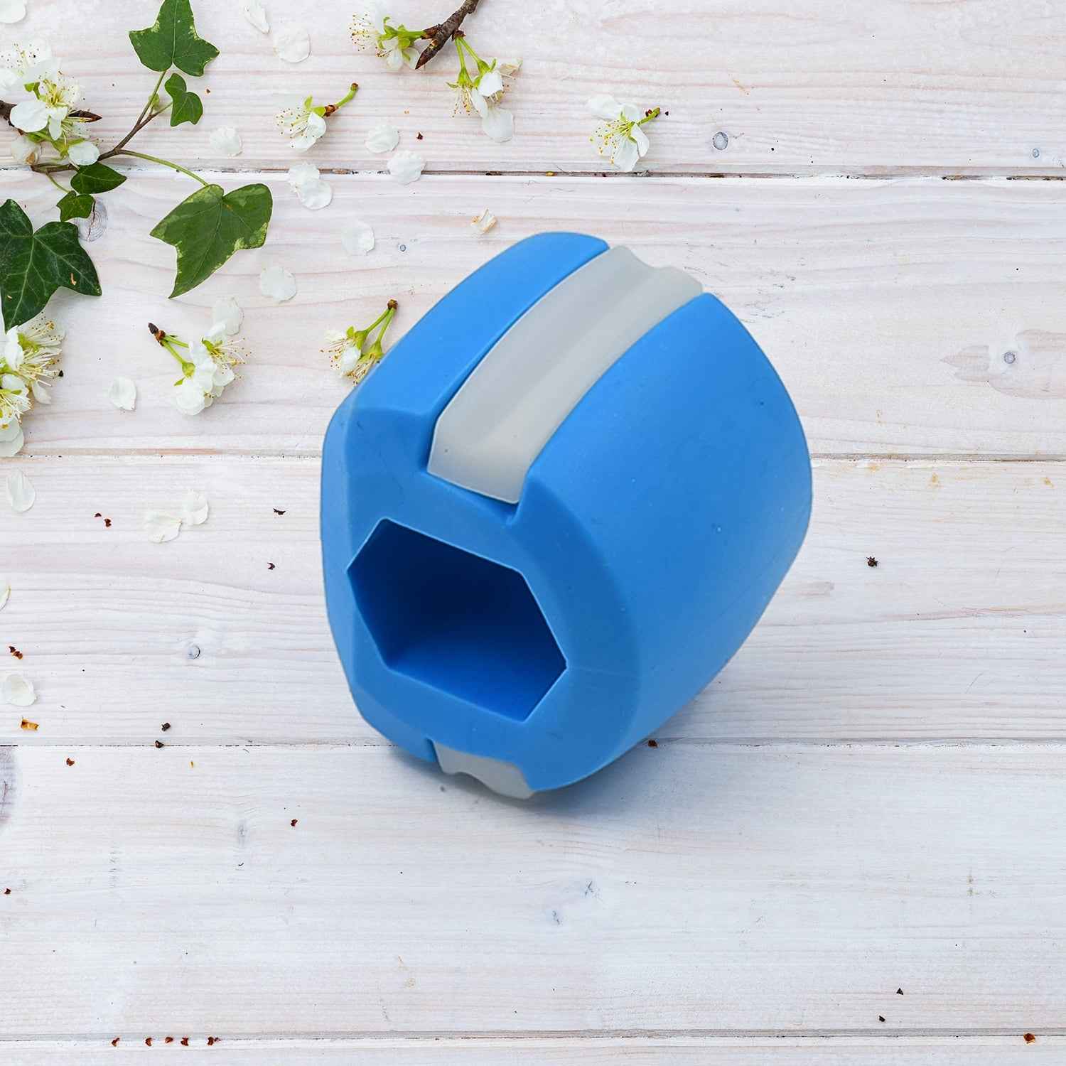 Jawline Exerciser – Blue Facial Sculpting Tool | FitFuzion