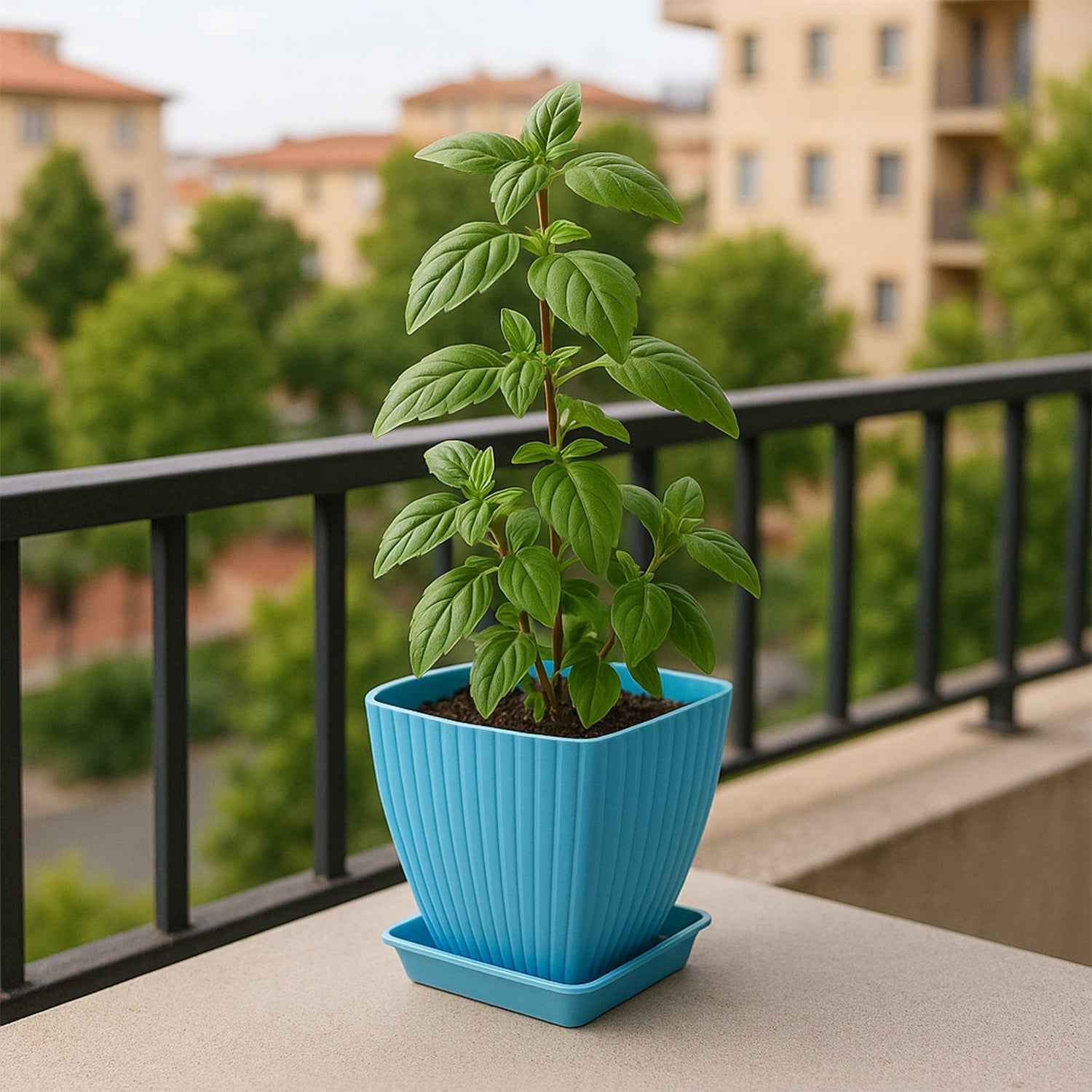 Square Plastic Flower Pots Set of 5 – Durable Lightweight Planters